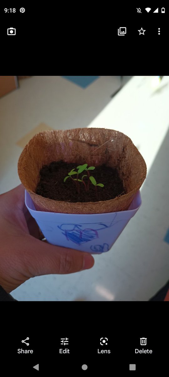 Rosa Maria Guerra tweet media