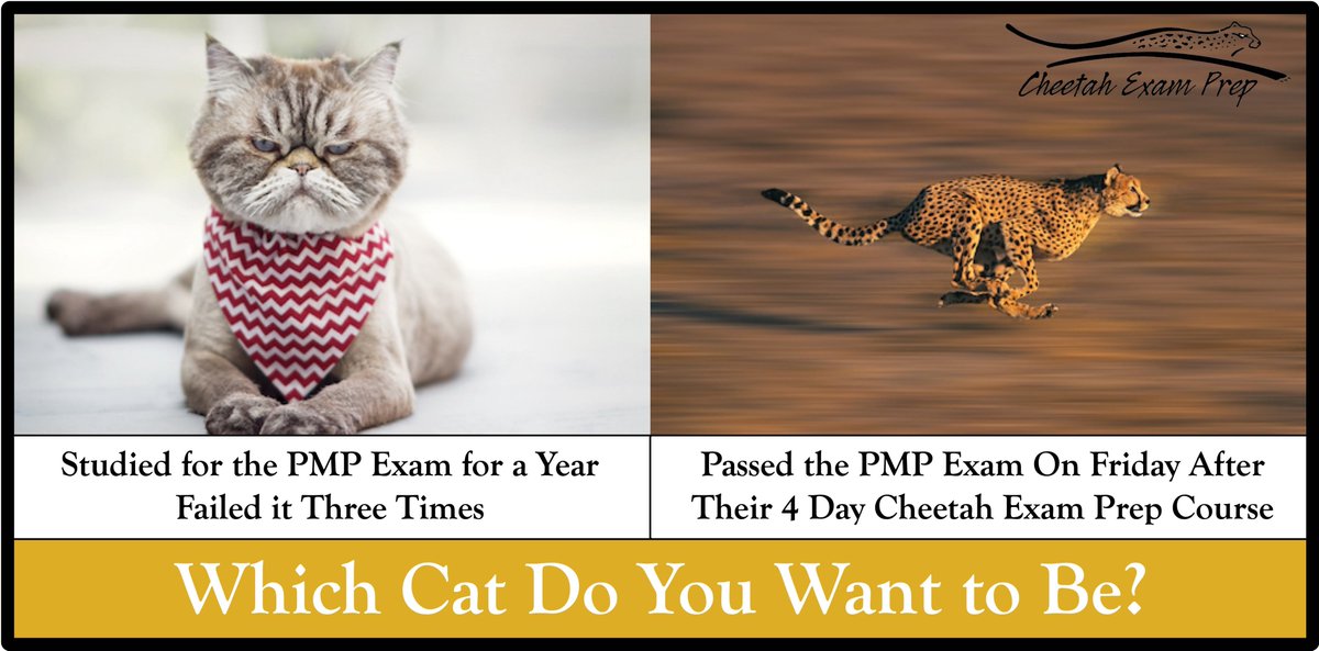 CheetahLearning's tweet photo. https://t.co/5GJEM8V0IH
Dive into Five PMP Practice Test Questions - see what is involved with taking the PMP exam.
#pmpexamprep #pmp #pmptraining #Cheetahlearning https://t.co/a2k7zDBBxx