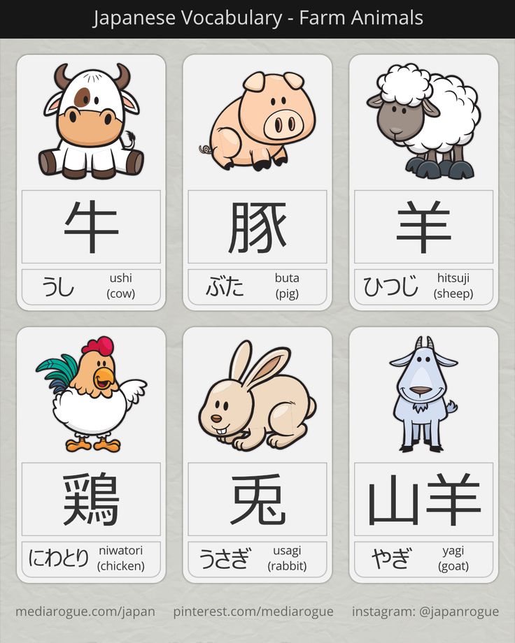 infoidiomas's tweet image. 🇯🇵🐾 ¡Di konnichiwa a tu lado salvaje! 

Descubre el asombroso mundo de los nombres de animales japoneses y da rienda suelta al maestro del nihongo que llevas dentro. 🐼🐯

 ¿Listo para explorar? ¡Vamos allá! ✨🌟 

#JapaneseAnimals #LearnTogether #LanguageFun
