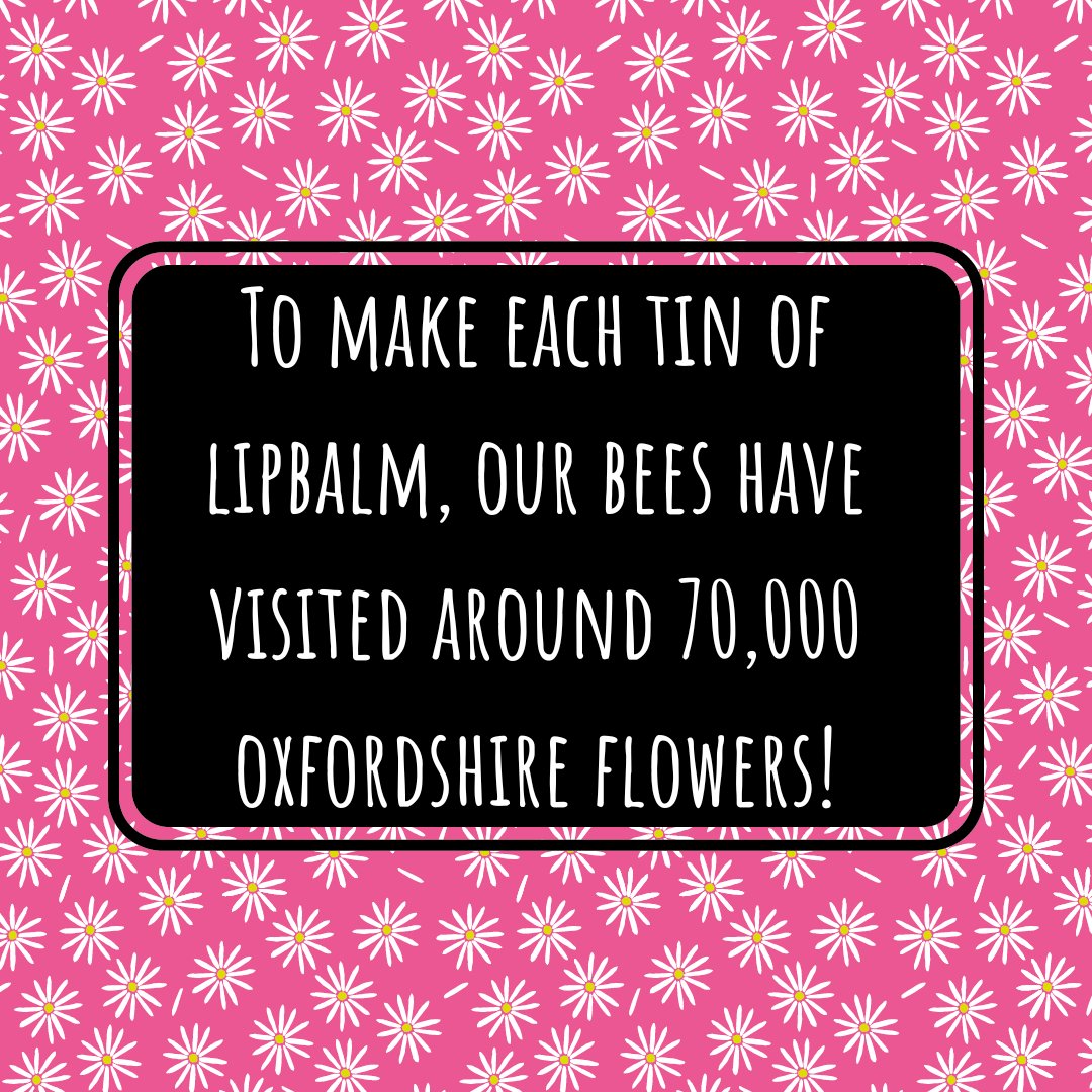nevesbees's tweet photo. Pure sunshine captured in each little tin :) (makes your lips nice a soft too!)
#puresunshine #beeswaxlipbalm #lovemothernature #savethebees #cotswolds #englishcountrygarden #wildflowers #wildflowermeadows #oxford #oxfordshire https://t.co/1zndYy1GGD