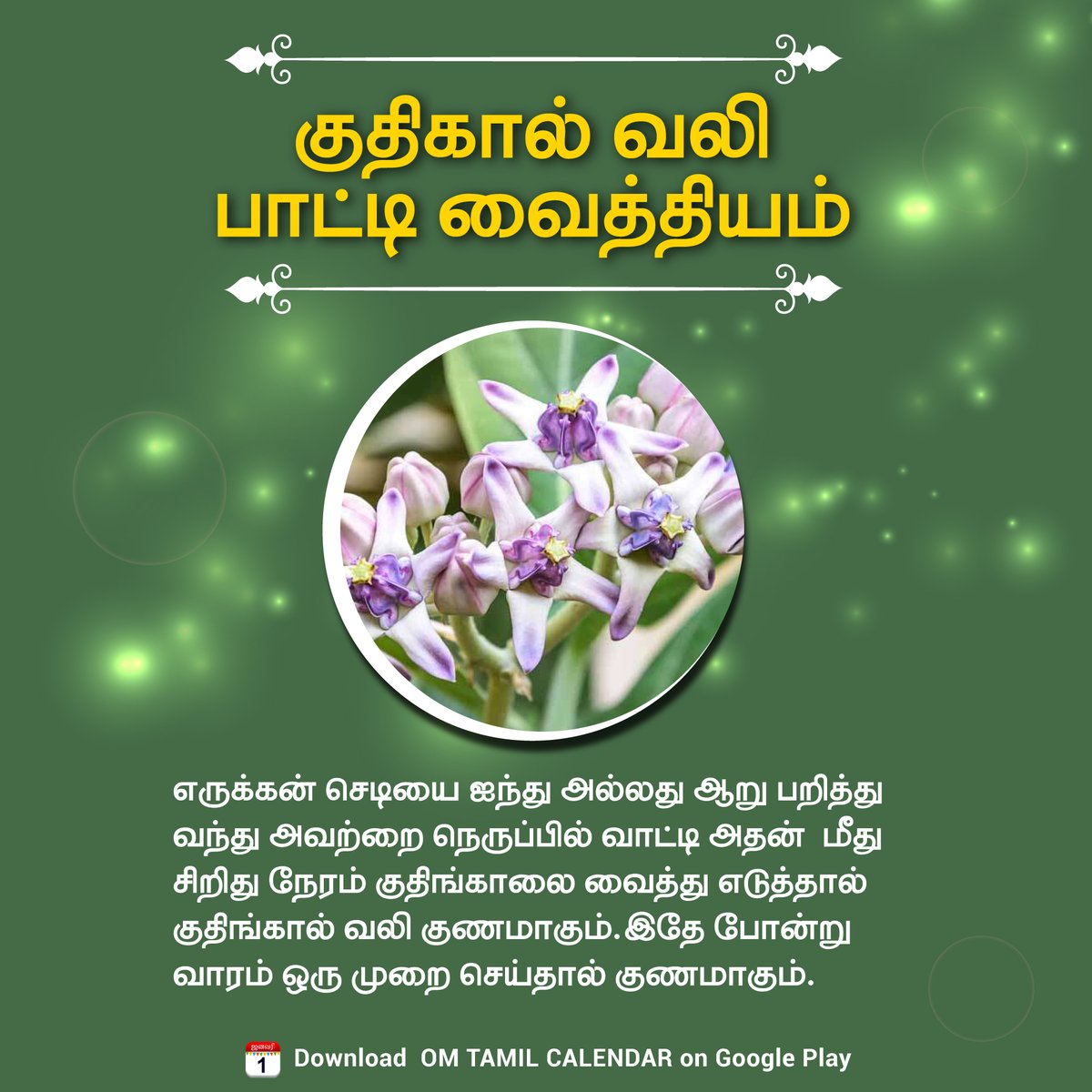 OmTamilCalendar's tweet photo. குதிகால் வலி பாட்டி வைத்தியம்!
#healthtips #healthtipsdaily #calotropis #viralpost
#omtamilcalendar https://t.co/HgxDn8iXdv