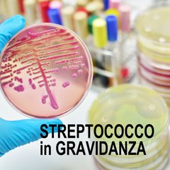 ISSalute_it's tweet photo. Lo #streptococco di gruppo B è uno dei tanti batteri che possono essere presenti all'interno del nostro organismo senza causare alcun tipo di problema. Se, però, durante il parto viene trasmesso al neonato può causare problemi anche gravi 👉https://t.co/0V86gFF734 https://t.co/ZTEinPcXRt
