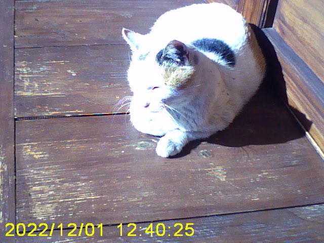 아무리 생각해도 기훈이 쬐끄만카메라로 요론 사진들 찍은거 너무사랑스러움..🙀🙀🙀!!!