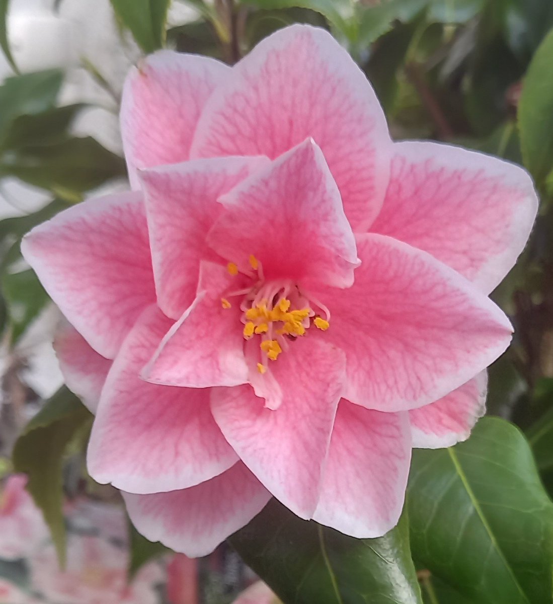 TaoGardening's tweet photo. Today is my new favourite day 😁 https://t.co/L0bCWuHH5w
