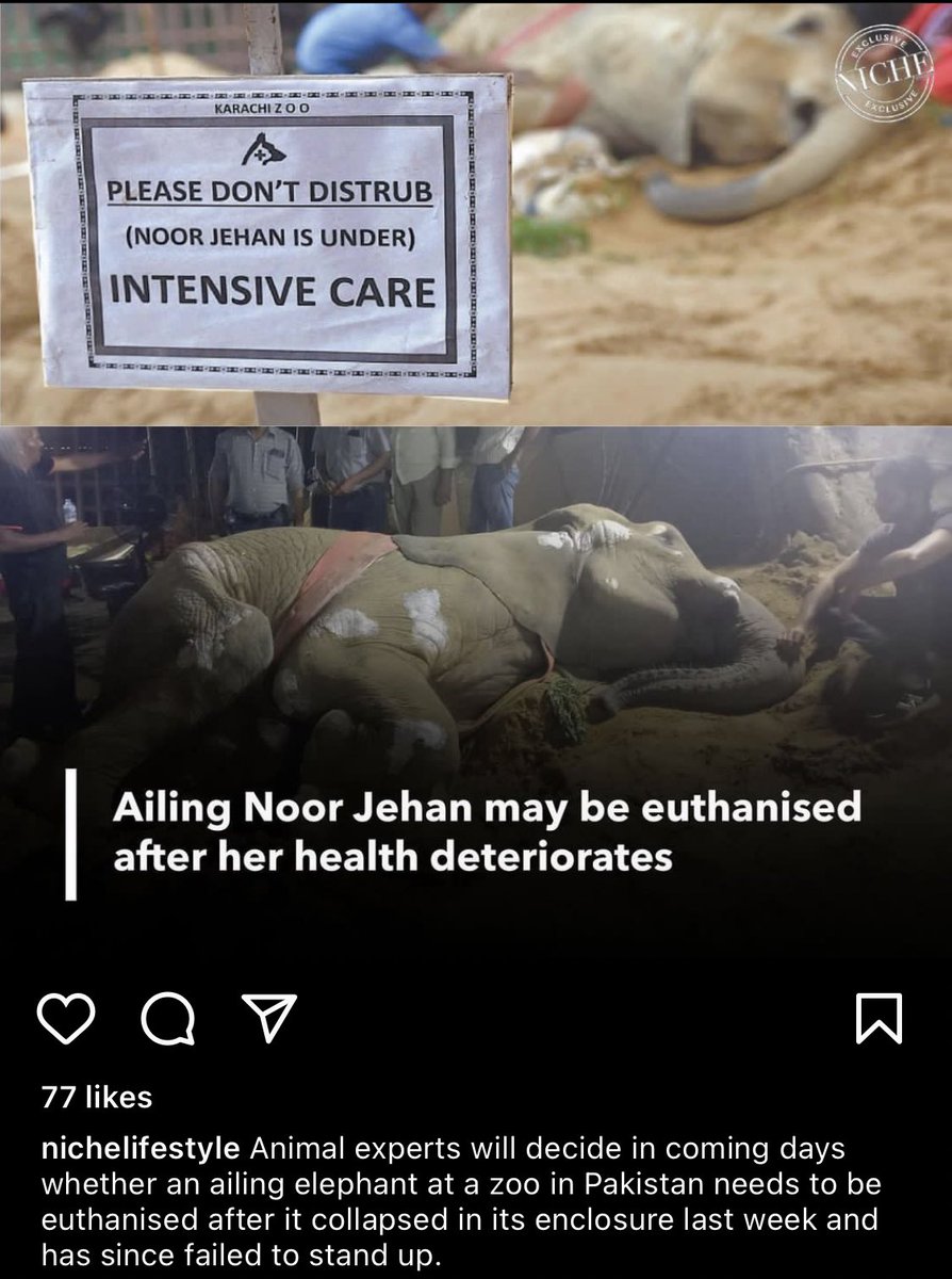 PrettyPooor's tweet photo. This is heartbreaking 😭
#BanZoo
 #NoorJehan
 #KarachiZoo https://t.co/sB0J5cG9BA