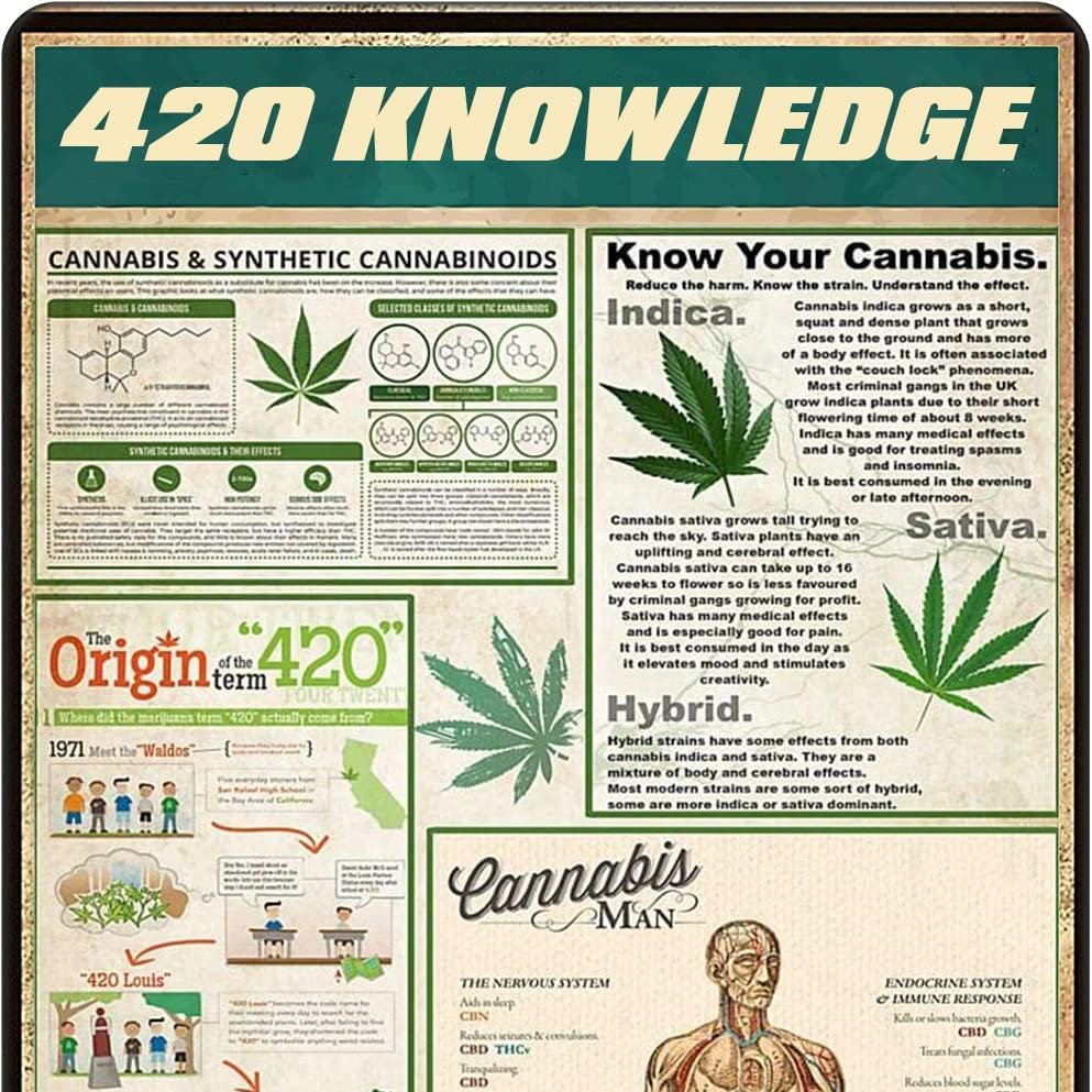 BasementalMods's tweet photo. Happy 420! 🍃☮️ https://t.co/XDg3FIpsgv