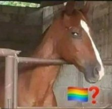 Los heteros cuando ven mas de 4 colores juntos