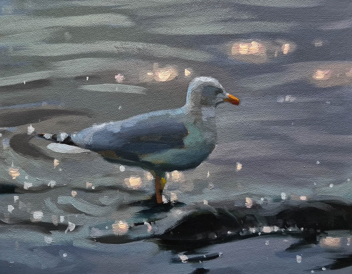 Here’s the first of two Jenny Aitken’s that found new homes this week. More gorgeousness from the Belper Baroness here tho:
theharbourgallery.co.uk/jenny-aitken 

#jennyaitken #seagull #seabird #coastal #coastalliving #sea #ocean #water #contemporarybritishpainter #contemporaryart