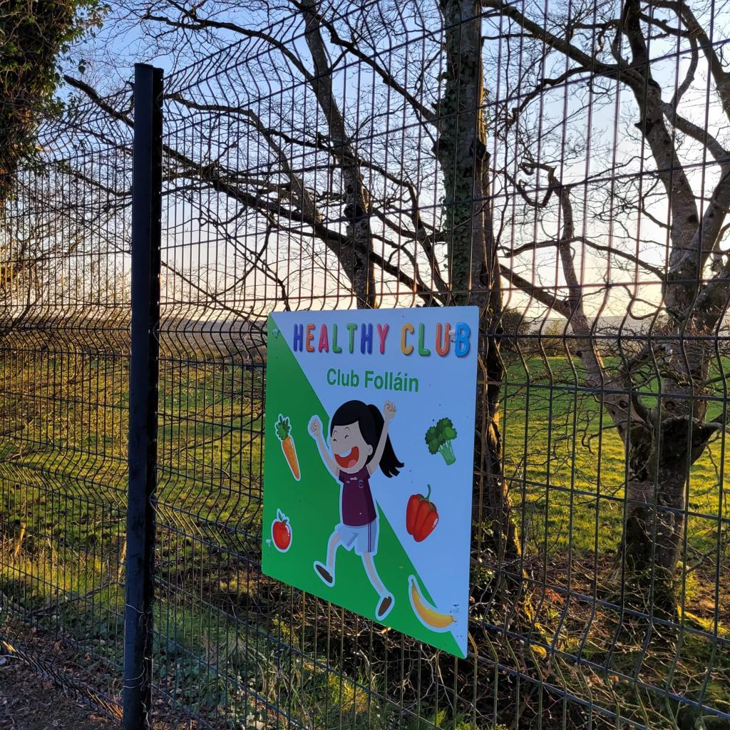 GACSlaughtneil's tweet image. Tá Cosán Aclaíochta CLG Eiméid againn anois!!
Míle buíochas le Donna Murphy as é a eagrú & le cách a thug cuidiú chun na comharthaí a chur suas. 
Emmets GAC Activity Trail just arrived!!
Many thanks to Donna Murphy for organising & to all who helped put the signs up. #meitheal