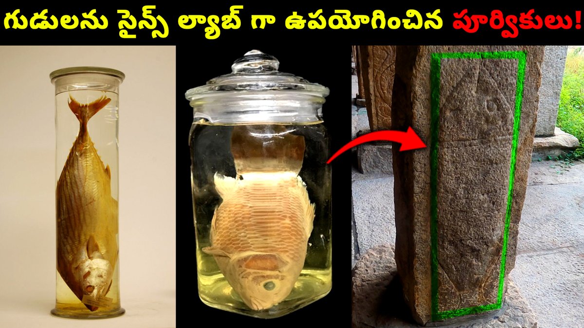 PM_Telugu's tweet photo. ఇది నిజంగా దేవాలయమేనా? చీకటి మూలలో దాక్కున్న పురాతన ల్యాబ్!
https://t.co/Uf5syeK8K0
#Southindiantemple #Ancientcarving #ancientlab #sciencelab #praveenmohantelugu #ancienttemple #hinduism #Twittertweet #hiddencarvings #hiddensecrect #ancientbuilders #thursdaytweet https://t.co/E37ql1eaKm