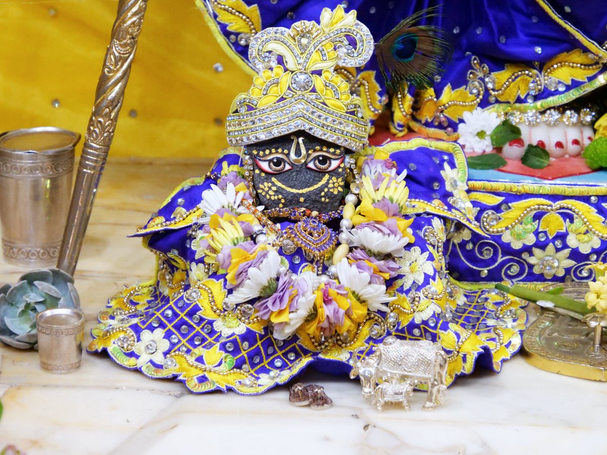 iskconlondon's tweet photo. Today's Deity darshan in Yellow &amp; Purple #krishna #radharani #radhakrishna #girigovardhan #gauranitai #jagannath #baladev #subhadra #srilaprabhupada #deities https://t.co/Efe9zst0lo