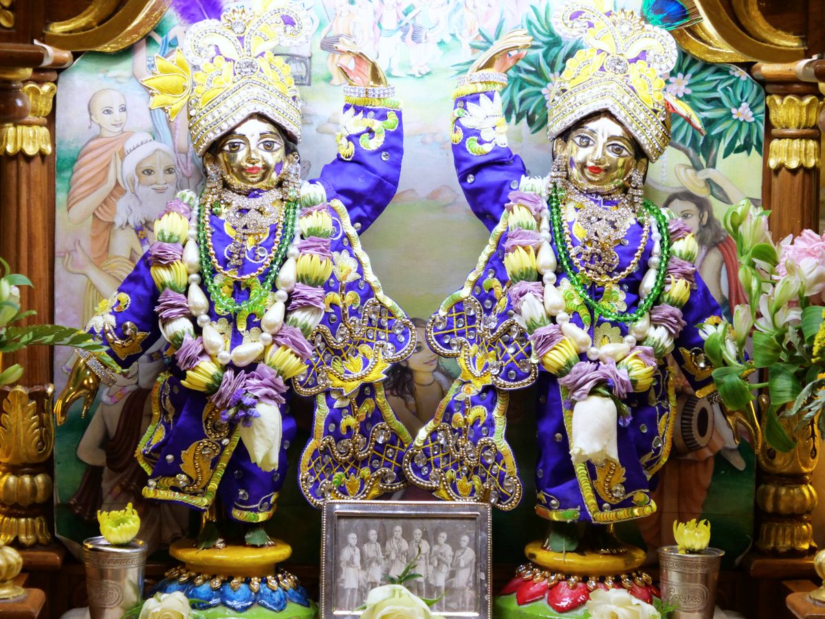 iskconlondon's tweet photo. Today's Deity darshan in Yellow &amp; Purple #krishna #radharani #radhakrishna #girigovardhan #gauranitai #jagannath #baladev #subhadra #srilaprabhupada #deities https://t.co/Efe9zst0lo