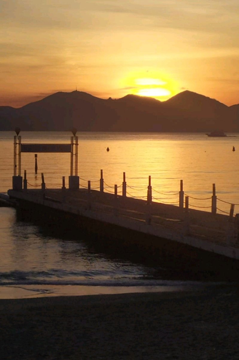 Michalauro's tweet photo. Bonne journée à toutes et tous 
#Cannes https://t.co/bILgCZ73aG