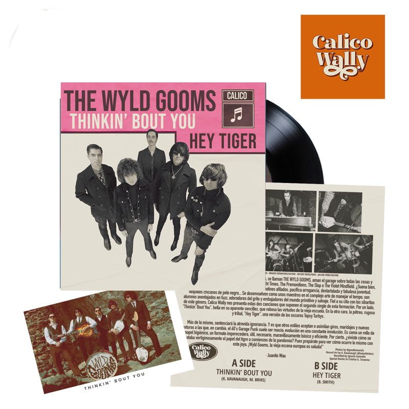 THE WYLD GOOMS New 7” vinyl released by our brother label Calico Wally! Out now! youarethecosmos.com #garage #garagepunk #wyldgooms