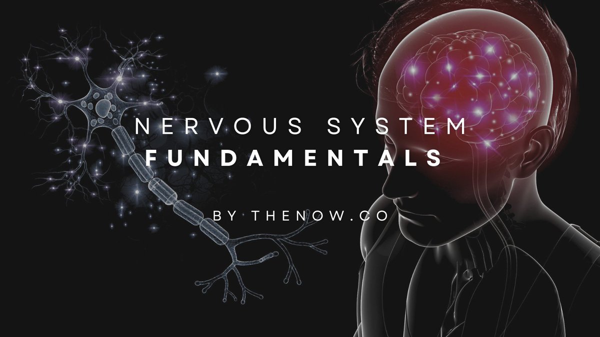 Jonathan Carson tweet media