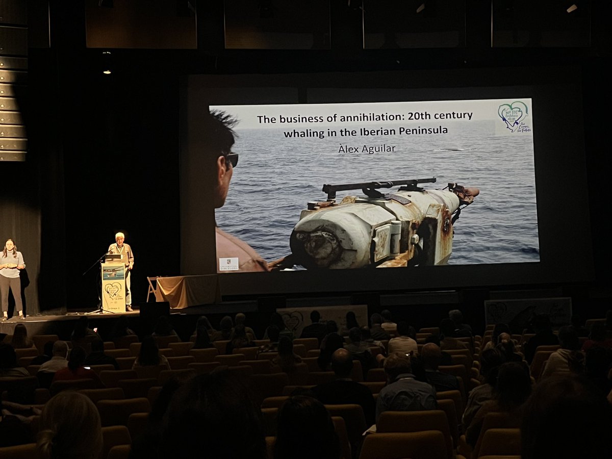 georginahume's tweet image. Day 3 keynote speaker on 20th century whaling 🐋 #ECSconference2023