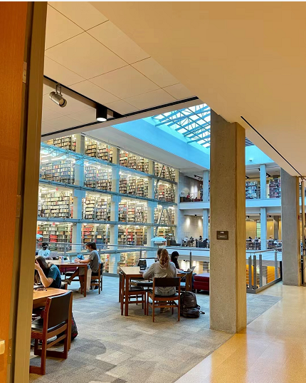 Mr_B_P_'s tweet photo. An afternoon of hard study in the library https://t.co/e9DCO53t7P