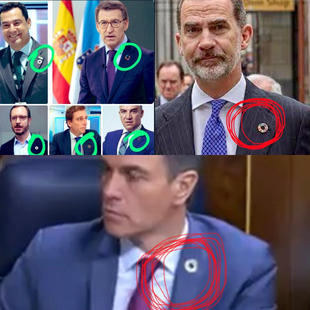 Eva Maria Sefue tweet media