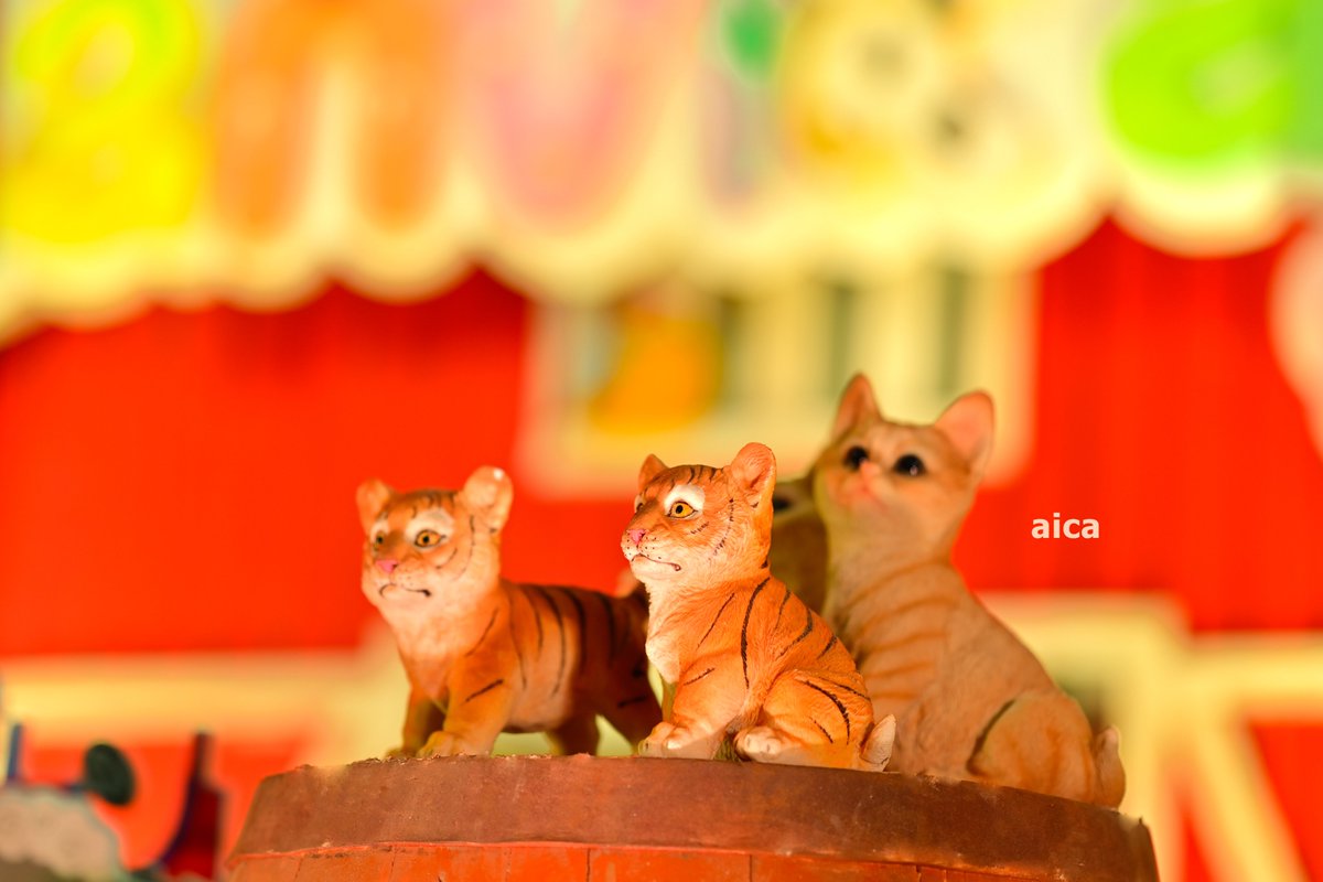 aicaevents's tweet photo. #aica #aicaevents #birthdaydecors #eventorganisers #newtheme #farmanimals #cutepupies #parrots #cubs #cats #AnimalLovers #birthday #hanvika #blessings #gifts #suprises #stagedecors #beautifulset #adorable https://t.co/7KbMebKbxk