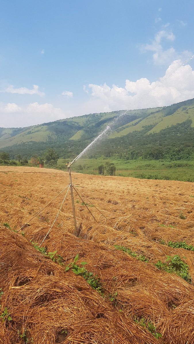 land-reclamation-make-your-land-suitable-for-agriculture-by