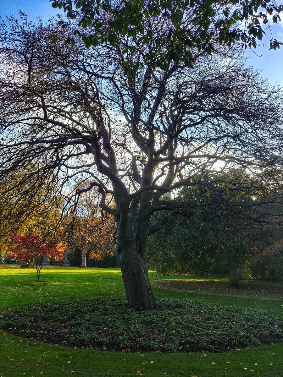 skinsofreality tweet media