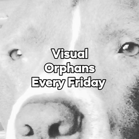 Visual Orphans
A Postmodern Jukebox