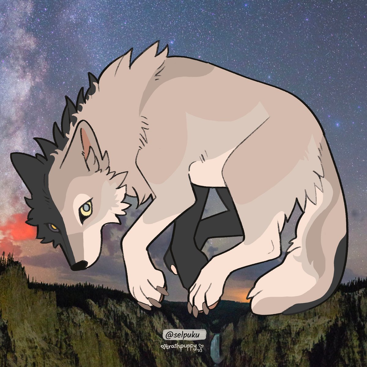 trashpuppy's tweet photo. full markings study of Halfmoon 🌓🌌
base by @selpuku https://t.co/3MppC2zf1I