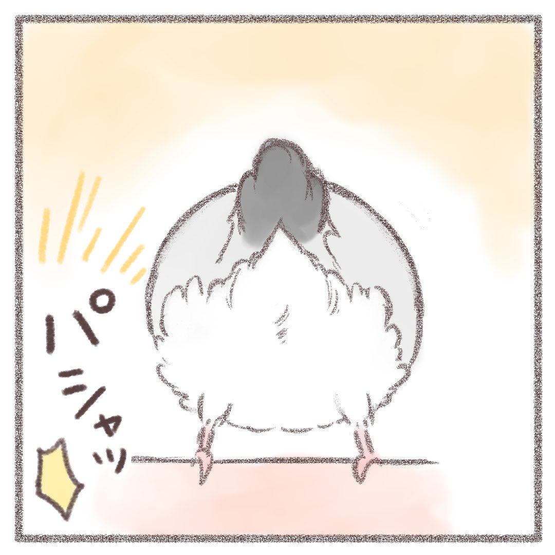 かいぬし
今、チュンのおチリ
パシャってしなかった?!

#文鳥 