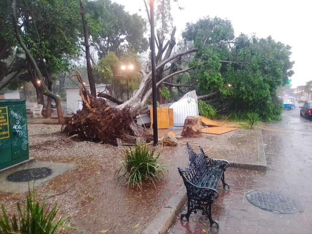 Tiempo Digital on Twitter: 