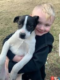 TheJeremyJam's tweet photo. Proud to add a new member to the Jam fam. Welcome Jigby!!! 🐶 He’s a Australian cattle spowzer and that’s my boy Ronald squeezing him so tight❤️ #mansbestfriend https://t.co/ChRmjIvfS7