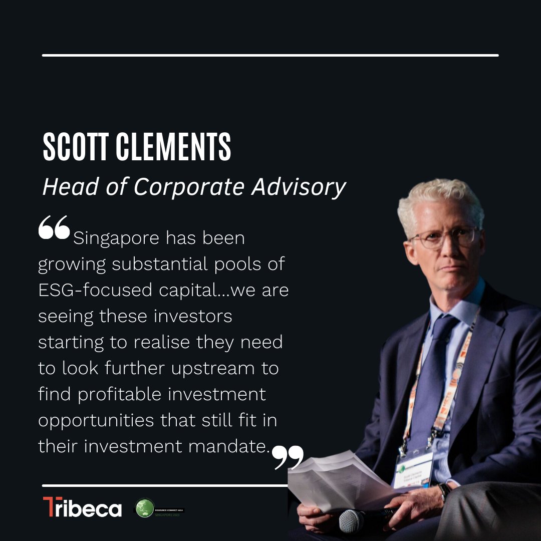 Tribeca Investment Partners tweet media