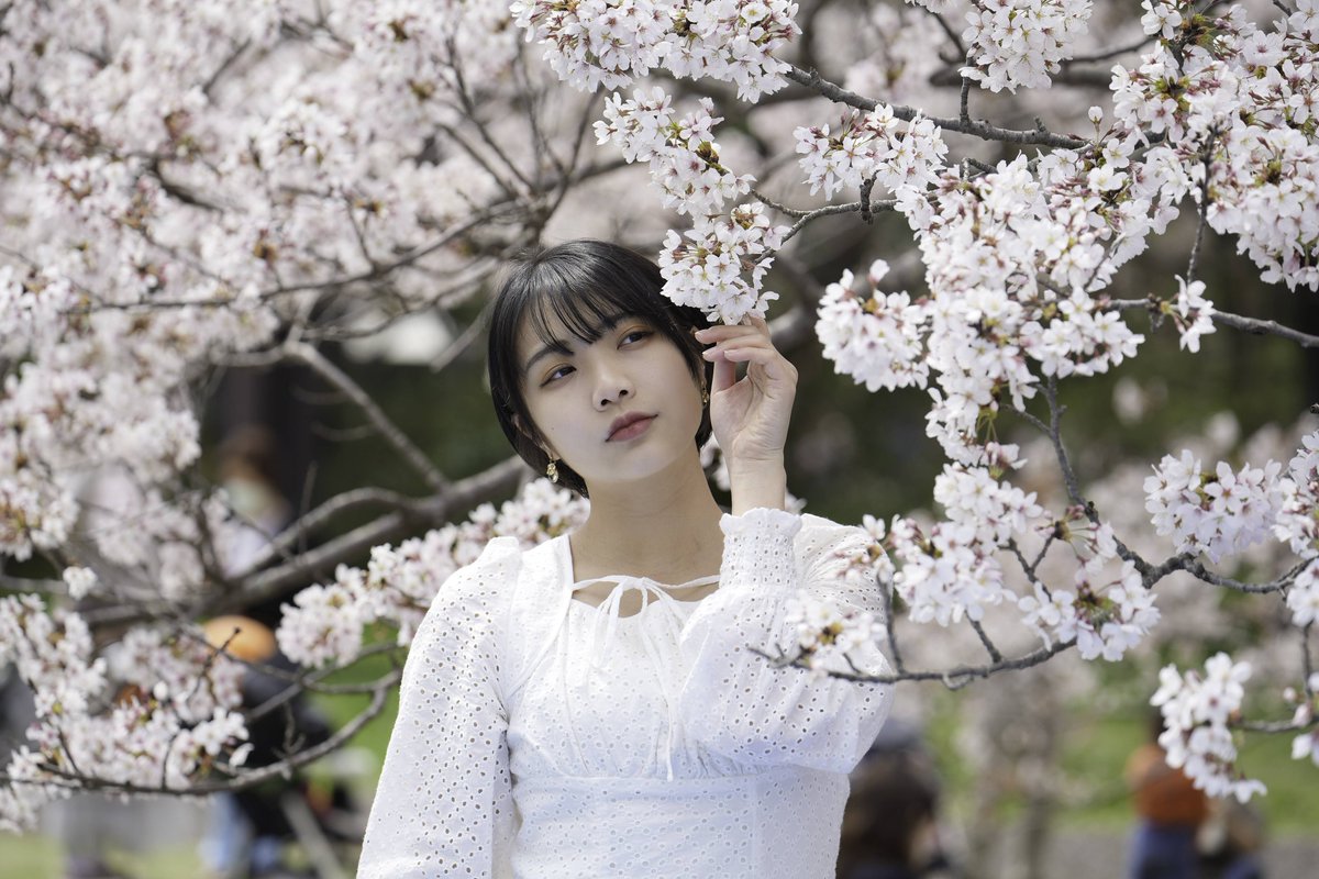 TOSHIPHOTO3's tweet photo. ⠀
桜も終わりかな

蓮見みなさん @mina_hasumi 

#コットン撮影会
#ファインダー越しの私の世界
#ポートレート好きな人と繋がりたい
#ポートレート
#撮影会モデル 
#portrait #portraitphotography 
#portraitmodel
#batis135 https://t.co/ZgZ0CZSAxi
