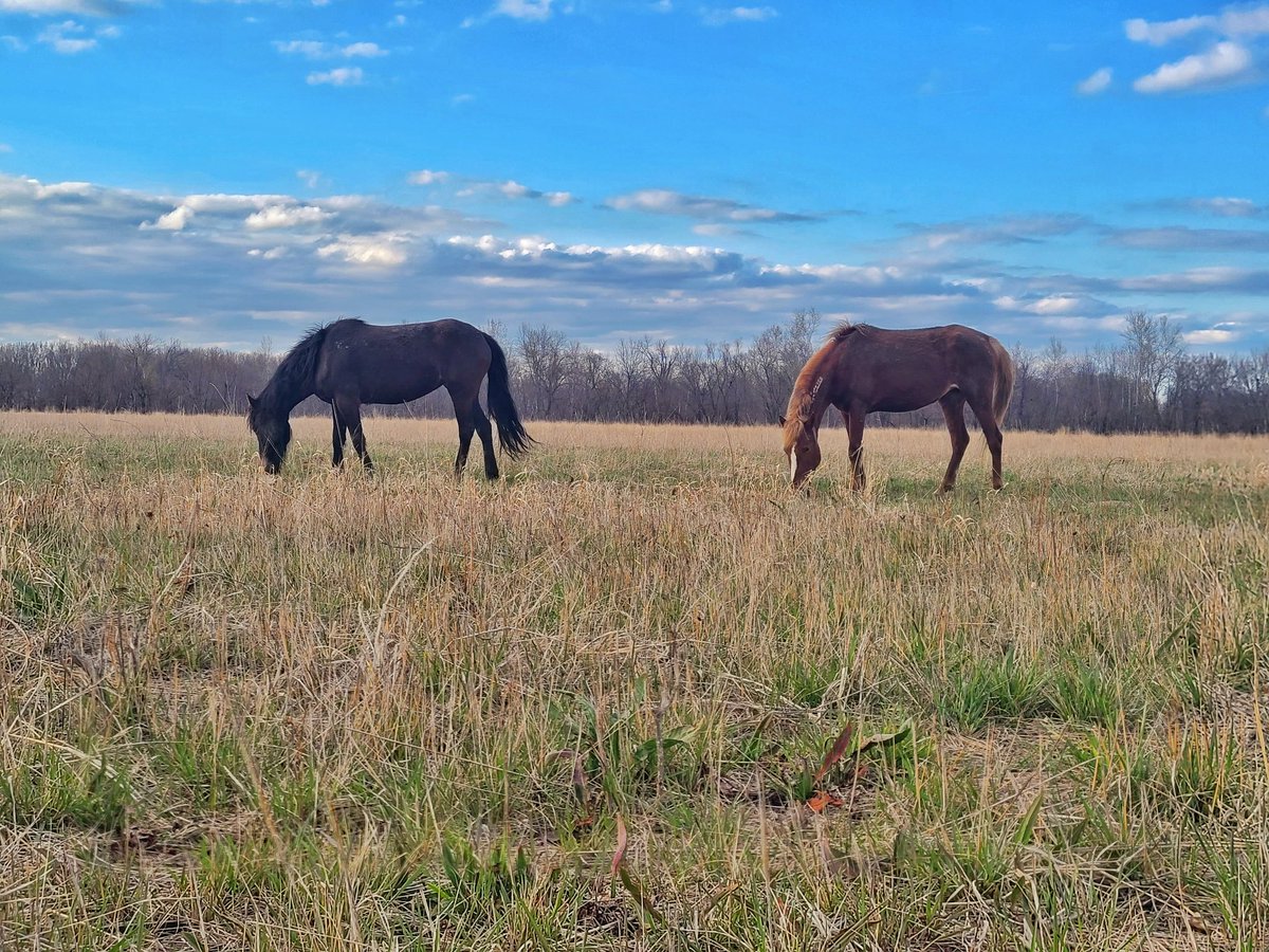 Kassi17's tweet image. 