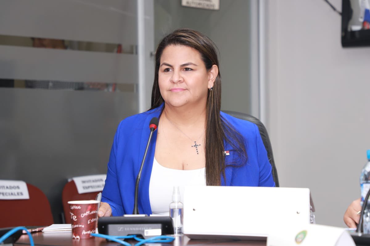 asambleapa's tweet image. Viceministra del @MOPPma Librada De Frías sustentó traslados de partidas por B/.28,046,456.00 para puente vehicular, rehabilitación de calles en David, Chiriquí, suministro, transporte y materiales en Bocas del Toro, entre otros proyectos en el país. Este monto fue aprobado.