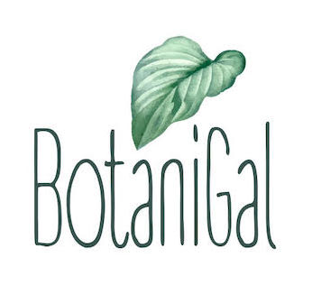 BarrierFreeMD's tweet photo. Join us in congratulating Katie, one of our Barrier-Free Members, on her new job at Botanigal! Katie works weekly at the shop, where she is responsible for labeling new deliveries and placing plants out for sale! #inclusiveemployment #supportiveemployment #carrollcountymd https://t.co/yzAnDytOYY