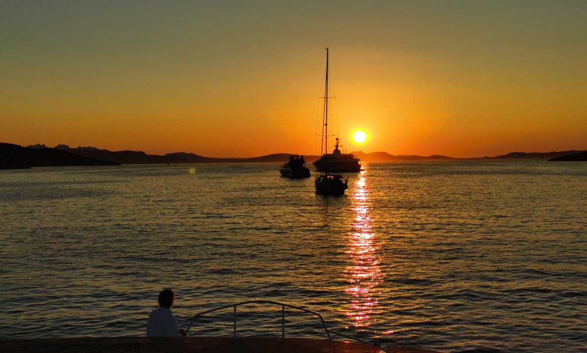 skinsofreality tweet media