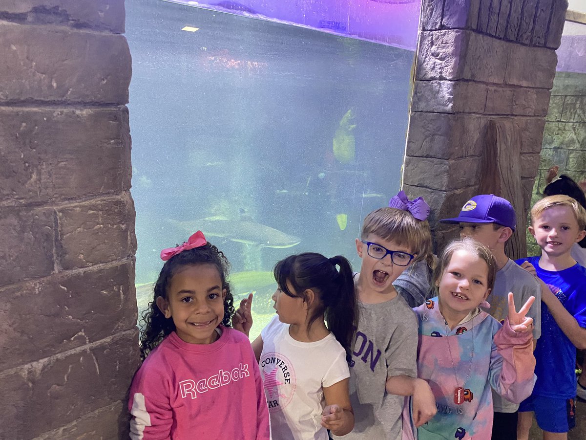 Rachael Bufkin tweet media