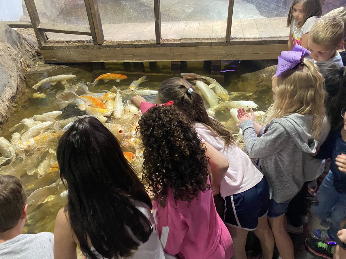 We had so much fun at our field trip to the Sea Quest Aquarium. We got to feed and touch many different animals. It was such a great experience, and we made some memories! Thank you AES PTO for funding this trip! #aesmakeyourmark