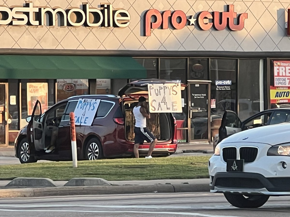 I went full grammar police today…