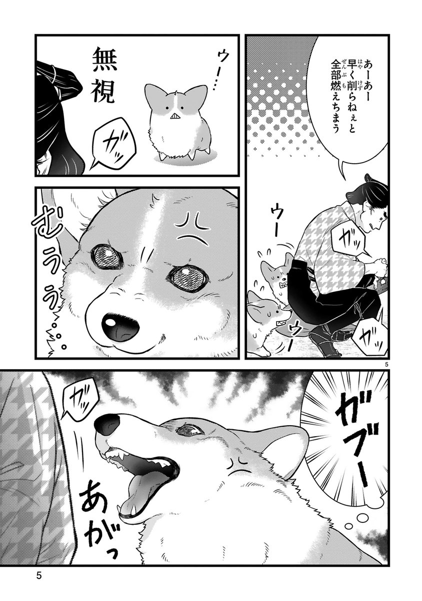 【4/20更新】
✨コミックス第②巻 5/15発売決定!✨

『殿と犬』
その十九 殿と泥棒・続
https://t.co/IBr1X1gTp3

犬、盗っ人を追い詰める💥
威嚇で立ち向かうけど、効果無し!?😢
かくなる上は…噛みつきアタックで追撃だ❕

#COMICポラリス 