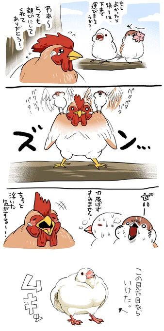 この鳥さん漫画の書籍化が決定いたしました!
書き下ろしは40pほどで、5月17日に発売予定です。
 Amazonでのご予約はコチラ↓ 
【https://t.co/sOrA5fKmfV】
画像は最近の落書きと、本の表紙です🐓 