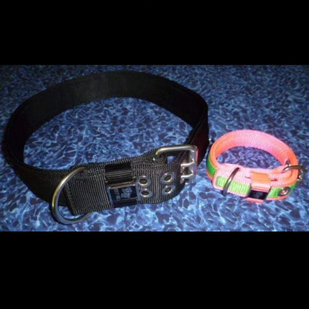 BLOCKYDOGS's tweet photo. Big blocky dogs, medium blocky dogs, small blocky dogs--We can outfit them all!
#blockydogs #dogcollars #MADEinUSA #handmade https://t.co/dTnwIRbJK0