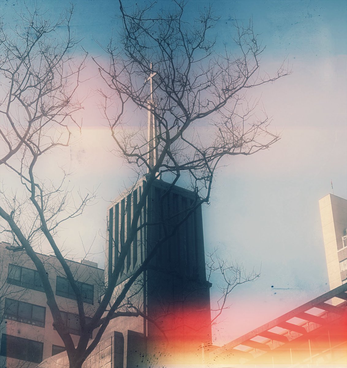 MargitColor tweet picture