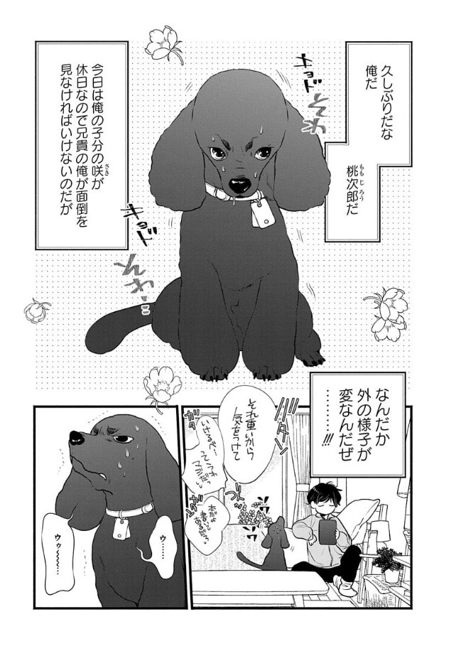 白泉社のWeb雑誌「花ゆめAi Vol.54」と
「恋するMOON DOG」の第46話、4月20日より発売中!
ご利用の電子書店さんで「花ゆめAi」または各作品タイトルで検索してみてください(*'▽`*)
山田先生のブログ記事はこちら→ https://t.co/jCNCLniRCo
#花ゆめAi
#恋するMOONDOG (#恋犬) 【byスタッフ】