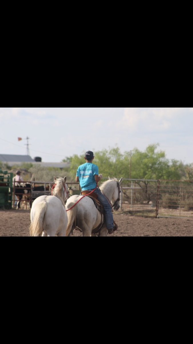 rl_pollo's tweet photo. Blessings on blessings https://t.co/BQyNi8YN9h