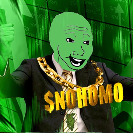 NoHomoCoin tweet media