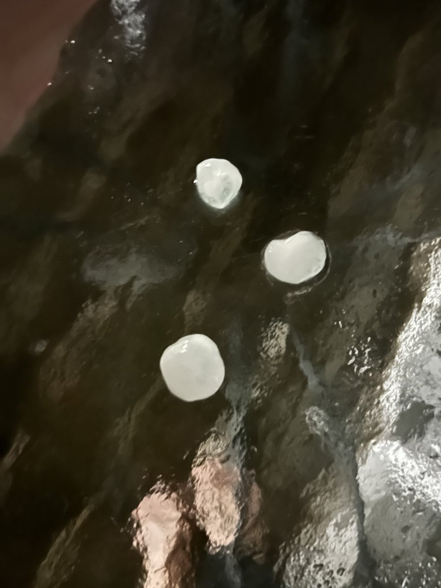 kaitdecks's tweet photo. @NWSKansasCity Hail here about dime size near 152 and Congress https://t.co/lnTYCpSPBa
