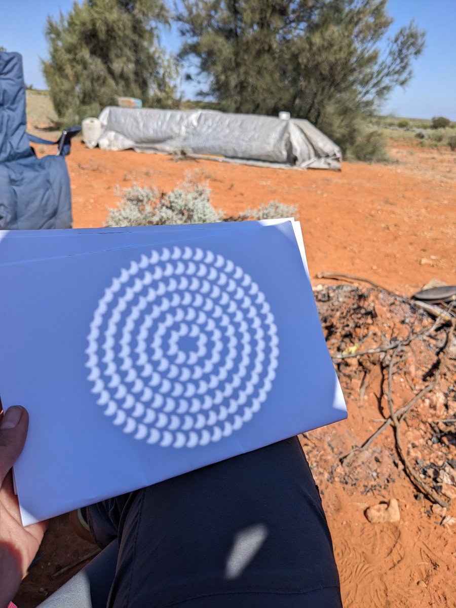 Dr Natasha Stephen tweet media