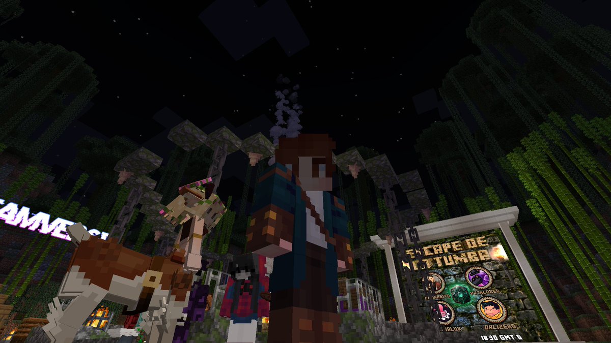 Streamverse__ tweet picture