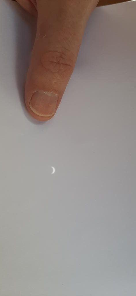 Amanda Frick tweet media